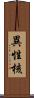 異性核 Scroll