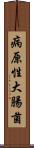 病原性大腸菌 Scroll