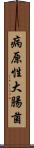 病原性大腸菌 Scroll