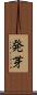 発芽 Scroll