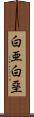 白亜 Scroll