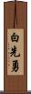 白先勇 Scroll