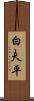 白夫平 Scroll