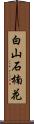 白山石楠花 Scroll