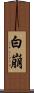 白崩 Scroll