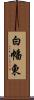 白幡東 Scroll