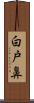 白戸鼻 Scroll