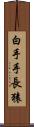 白手手長猿 Scroll