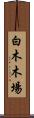 白木木場 Scroll