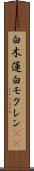 白木蓮 Scroll