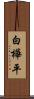 白樺平 Scroll