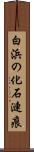 白浜の化石漣痕 Scroll
