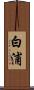 白浦 Scroll