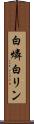 白燐 Scroll