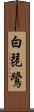白琵鷺 Scroll