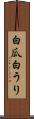 白瓜 Scroll