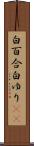 白百合 Scroll