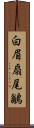 白眉扇尾鶲 Scroll