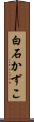 白石かずこ Scroll