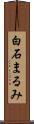 白石まるみ Scroll