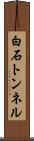 白石トンネル Scroll