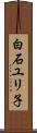白石ユリ子 Scroll