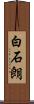 白石朗 Scroll