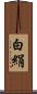 白絹 Scroll