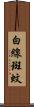 白線斑蚊 Scroll