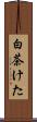 白茶けた Scroll