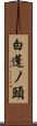 白蓬ノ頭 Scroll