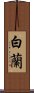 Byakuran Scroll