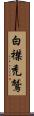 白襟禿鷲 Scroll