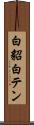 白貂 Scroll