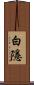 白隱 Scroll