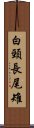 白頸長尾雉 Scroll