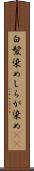 白髪染め Scroll