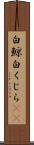 白鯨 Scroll