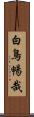 白鳥暢哉 Scroll