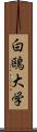 白鴎大学 Scroll