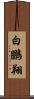 白鵬翔 Scroll