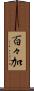 百々加 Scroll