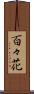 百々花 Scroll