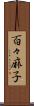 百々麻子 Scroll