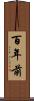 百年前 Scroll