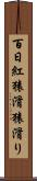 百日紅 Scroll