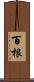 百根 Scroll