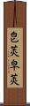 皀莢;皁莢 Scroll