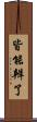 皆能辨了 Scroll