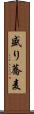 盛り蕎麦 Scroll